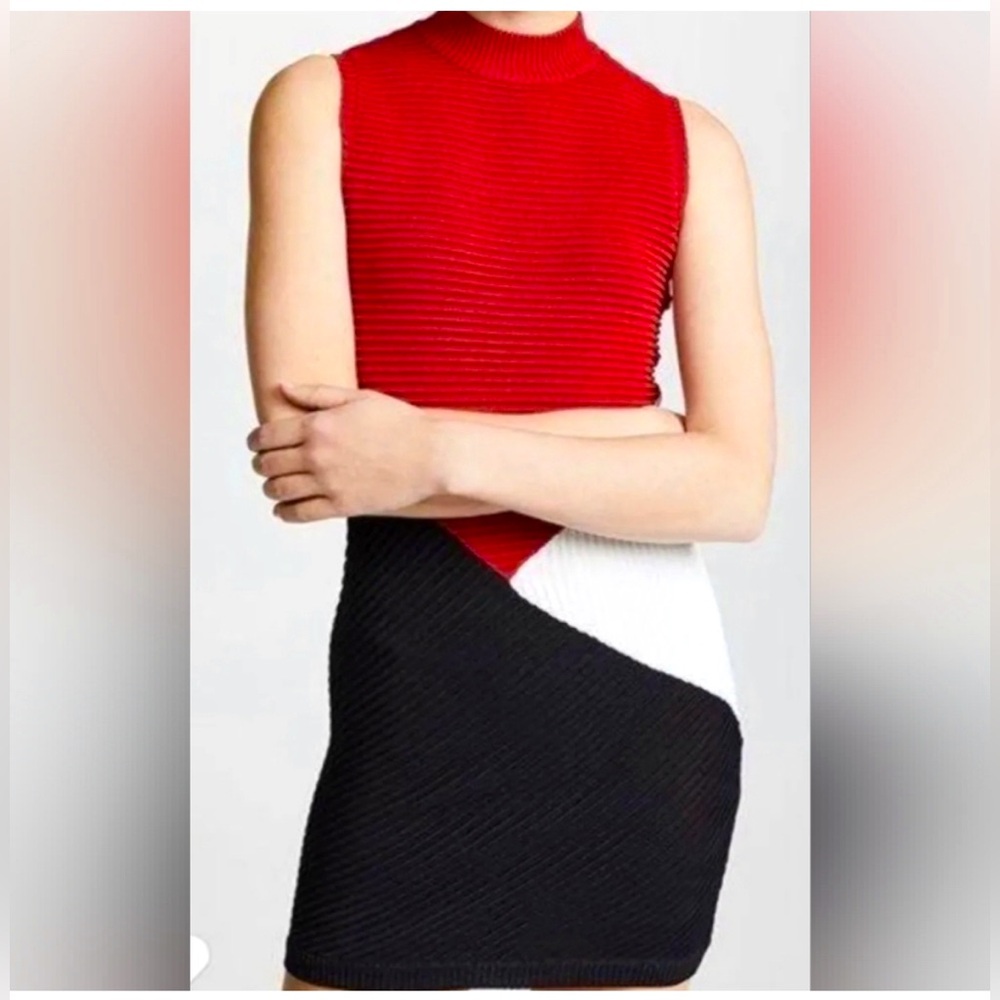 Rebecca Minkoff Bodycon Color Block Vivian Dress